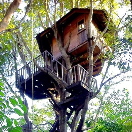 Rabeang Pasak Tree House Resort Чиангмай Экстерьер фото