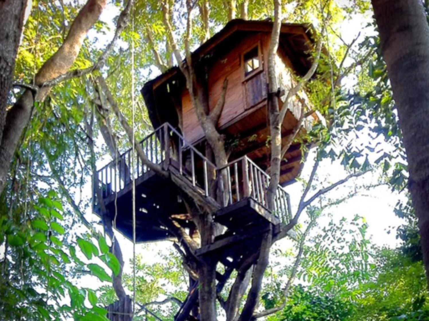 Rabeang Pasak Tree House Resort Чиангмай Экстерьер фото